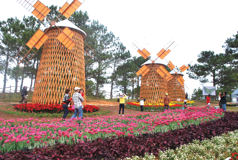 Đà Lạt -  kết tinh kì diệu từ đất lành