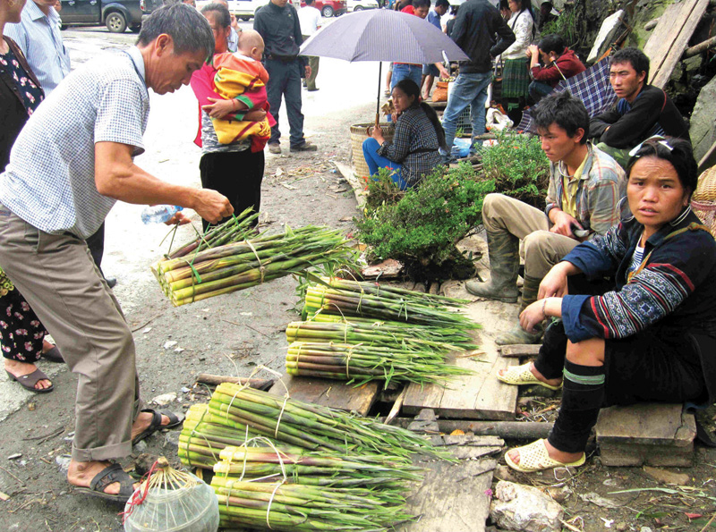 Măng rừng l&agrave; đặc sản kh&ocirc;ng thể thiếu ở chợ phi&ecirc;n T&acirc;y Bắc mỗi khi thu về