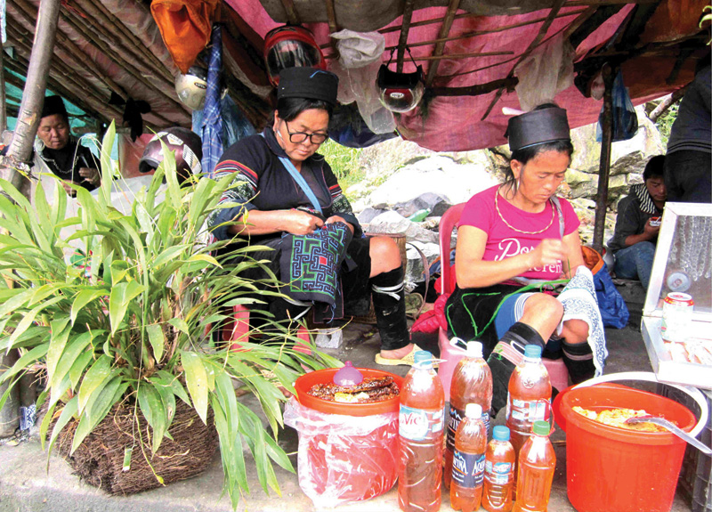 Đặc sản mật ong rừng của m&ugrave;a Thu T&acirc;y Bắc