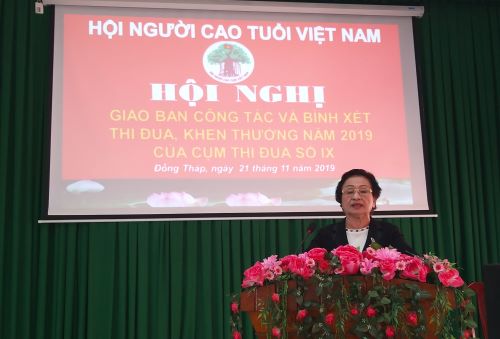 B&agrave; Phạm Thị Sơn, Ph&oacute; Chủ tịch Hội NCT Việt Nam Ph&aacute;t biểu chỉ đạo Hội nghị