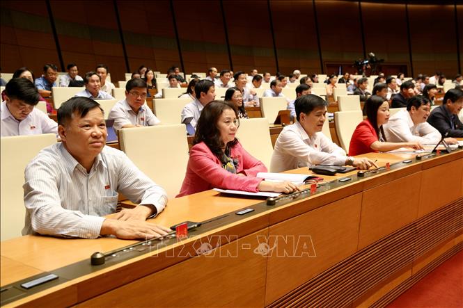 C&aacute;c đại biểu Quốc hội biểu quyết th&ocirc;ng qua Luật Thư viện. Ảnh: Dương Giang/TTXVN