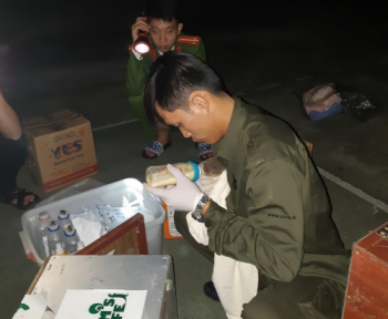 Nghệ An: Vườn quốc gia Pù Mát cứu hộ thành công rái cá quý hiếm