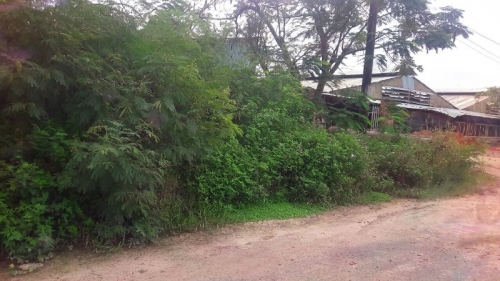 Về khiếu nại “Trả tiền bơm cát và xây dựng hàng rào”  công trình Nhà máy Chế biến Nông sản xuất khẩu tỉnh Sóc Trăng: Dấu hiệu giao tiền di sản vi phạm