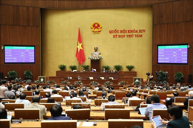 C&aacute;c Đại biểu Quốc hội biểu quyết th&ocirc;ng qua Luật D&acirc;n qu&acirc;n tự vệ (sửa đổi) với 443/446 phiếu t&aacute;n th&agrave;nh, chiếm 91,72%. Ảnh: Dương Giang/ TTXVN