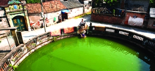 Một nét hồn quê...