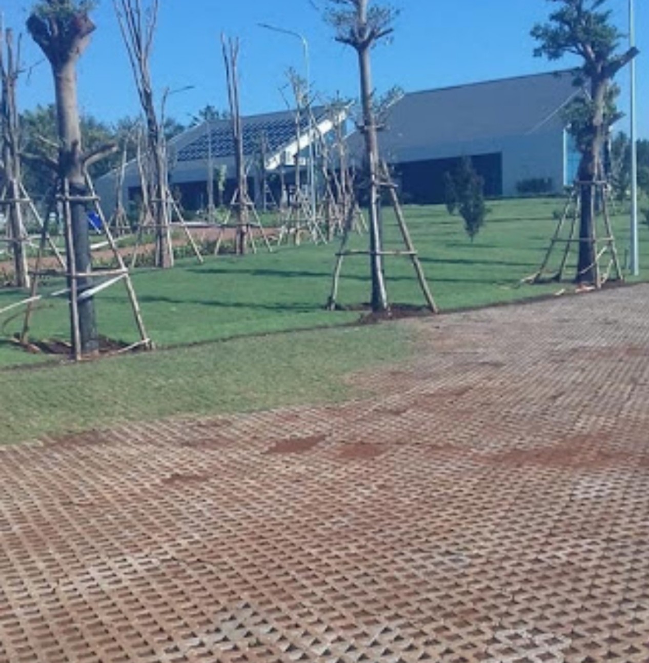 3.Ph&iacute;a sau 2 nh&agrave; t&ograve;a nh&agrave; điều h&agrave;nh, nhiều c&acirc;y cảnh, thảm cỏ, l&aacute;t gạch b&agrave;i bản