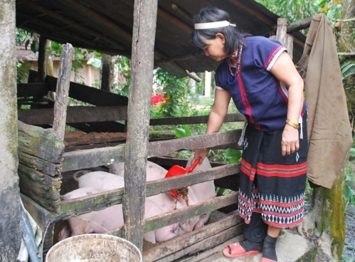 Người già Cơ Tu lên rẫy...