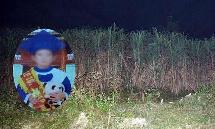 B&eacute; B&agrave;n Văn Thanh bị s&aacute;t hại vường m&iacute;a.