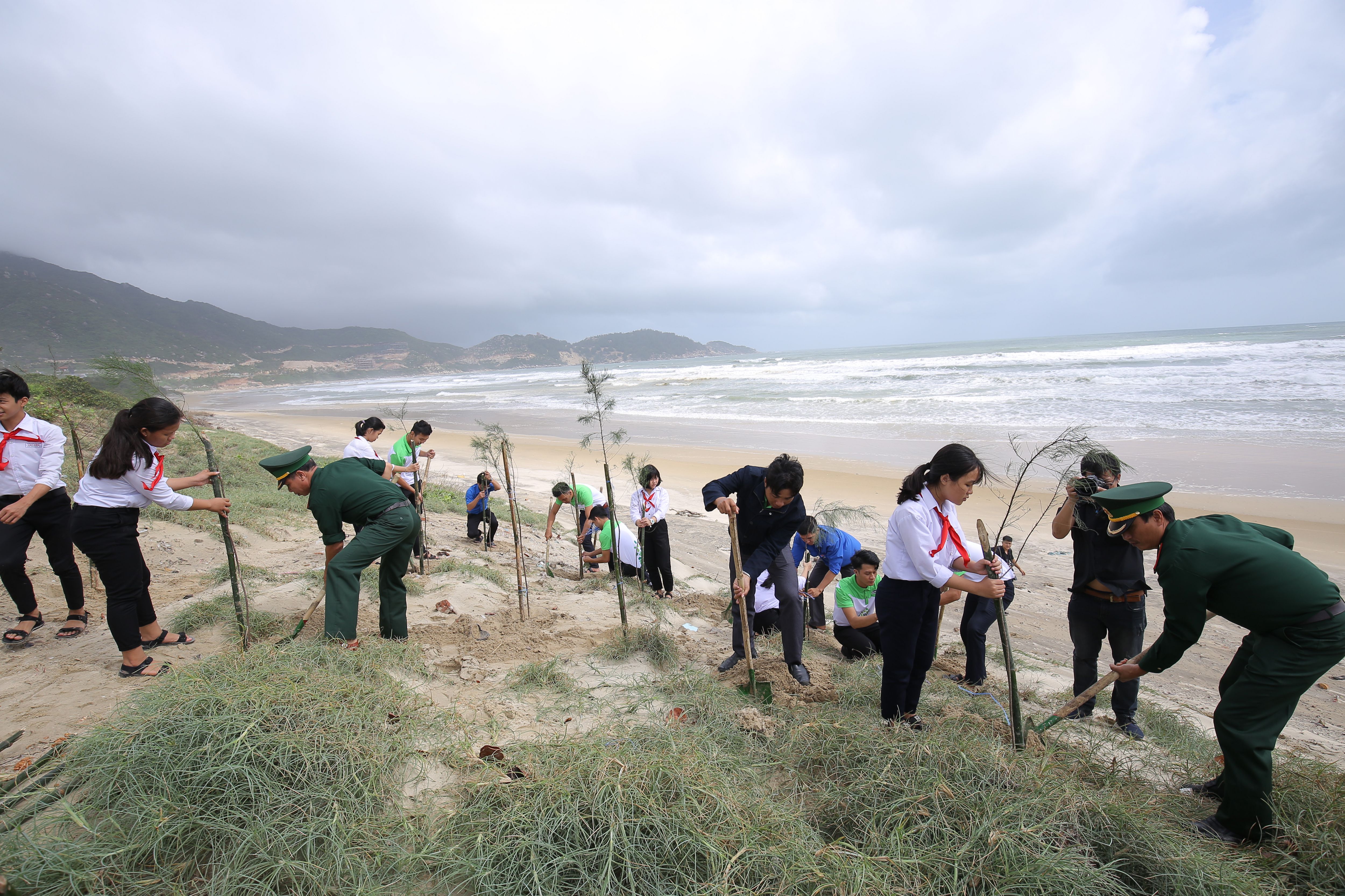 C&aacute;c em học sinh, c&aacute;c bạn đo&agrave;n vi&ecirc;n thanh ni&ecirc;n tỉnh B&igrave;nh Định c&ugrave;ng trồng c&acirc;y phi lao dọc bờ biển trong chương tr&igrave;nh Quỹ 1 triệu c&acirc;y xanh cho Việt Nam
