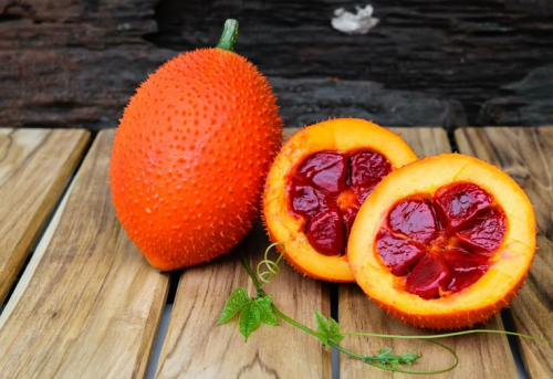 Sử dụng hoạt chất quý từ quả gấc để bảo vệ nhà máy thải độc của cơ thể