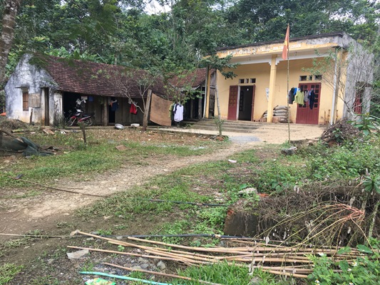 Vụ hàng trăm cây gỗ tự nhiên bị đốn hạ trái phép ở Bá Thước, Thanh Hóa: Trách nhiệm thuộc về ai?