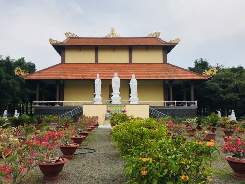 Chùa Như Ý:  Khoe sắc giữa vùng quê