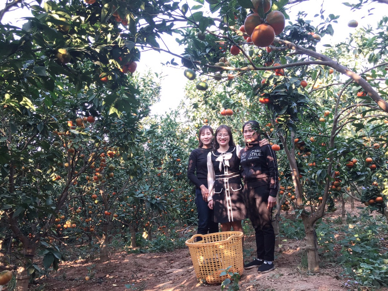 Chủ vườn (ngoài cùng b&ecirc;n phải).