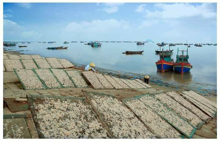 Sau những ng&agrave;y vươn khơi