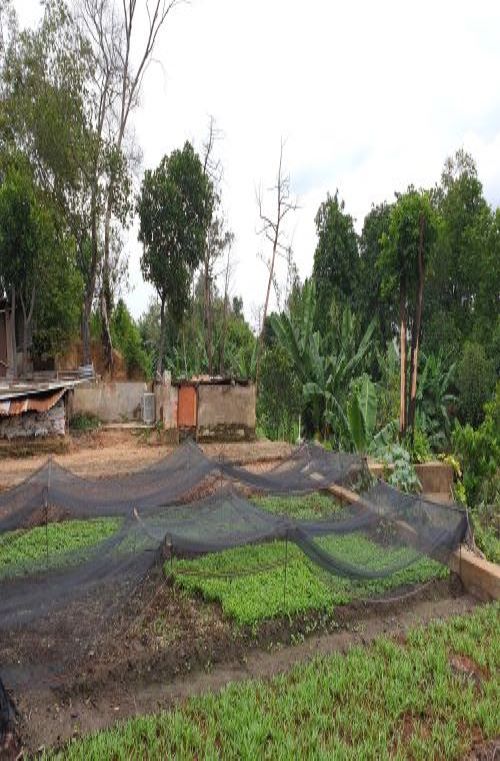 TP Hồ Chí Minh: Bao giờ  lãnh đạo quận 12 giải quyết cho cụ bà vợ Liệt  sĩ?