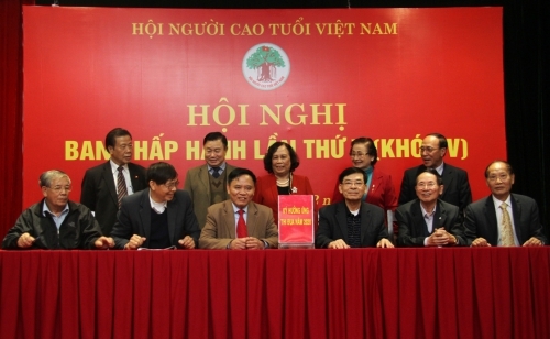 Hội nghị BCH TW Hội NCT Việt Nam lần thứ V khóa V (nhiệm kì 2016 - 2021): Nhiều chỉ tiêu đạt và vượt mức Đại hội đề ra