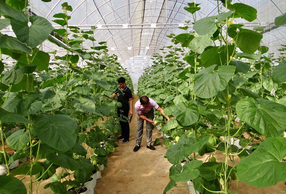 Xã Thọ Thanh, huyện Thường Xuân (Thanh Hóa): Đón bằng công nhận xã đạt chuẩn Nông thôn mới