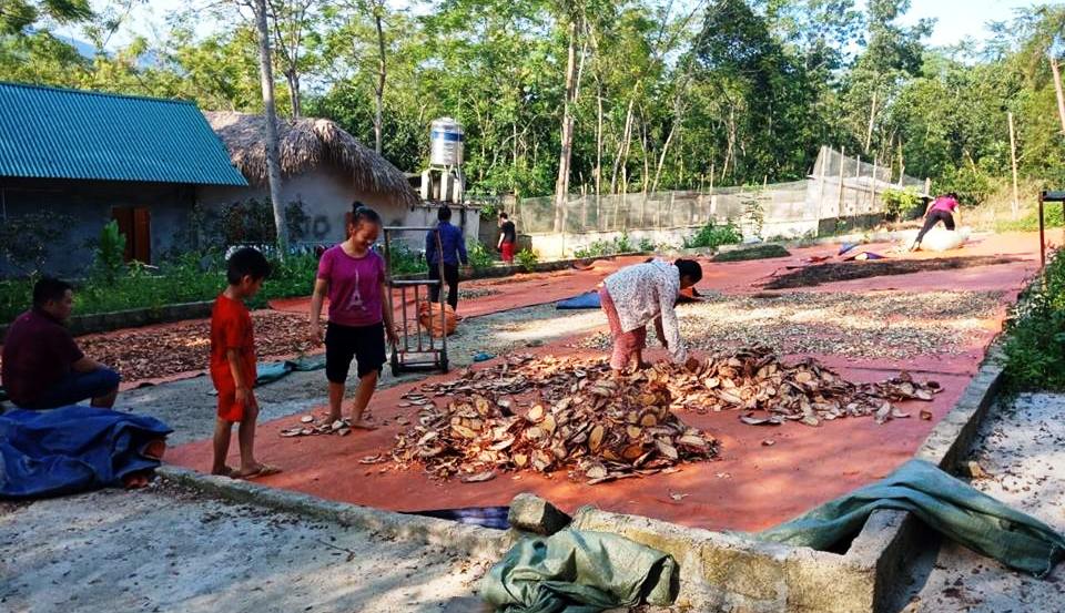 Khu phơi thuốc nh&agrave; lương y Nguyễn Thị Th&aacute;i