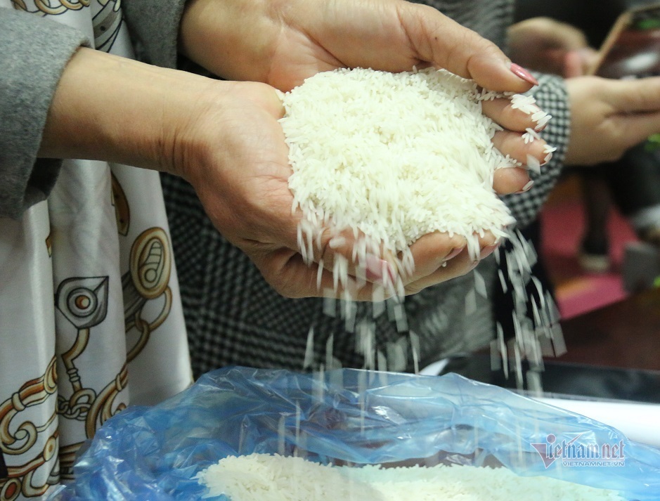 Gặp “cha đẻ” của giống gạo Việt ngon nhất thế giới