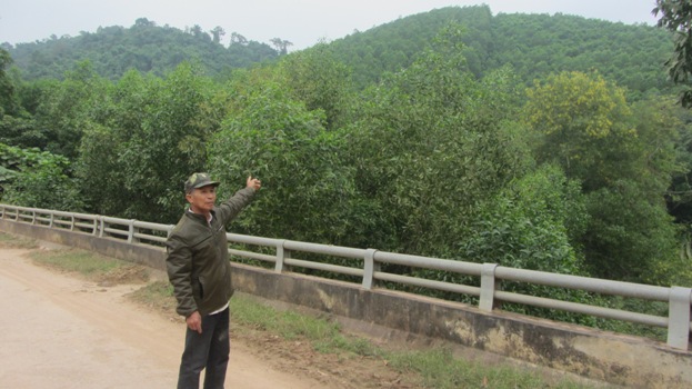 Đất rừng được giao của hộ &ocirc;ng Qu&acirc;n đang xẩy ra tranh chấp