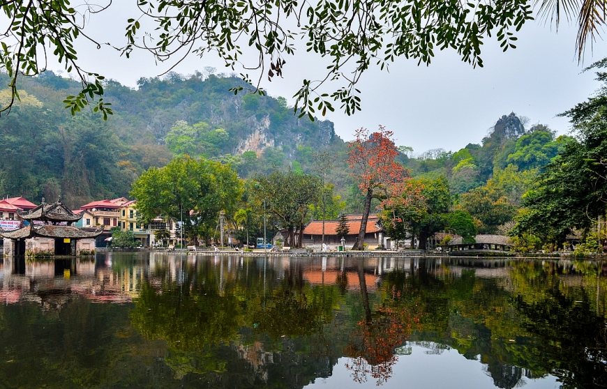 Hoa gạo nở rực, đẹp nao lòng góc  sân chùa Thầy