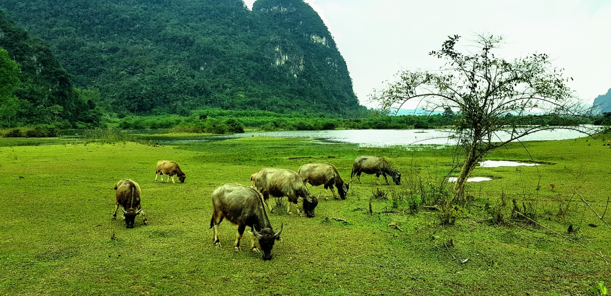 Ngày xuân thưởng ngoạn cảnh đẹp tuyệt sắc trên “đảo đầu lâu”