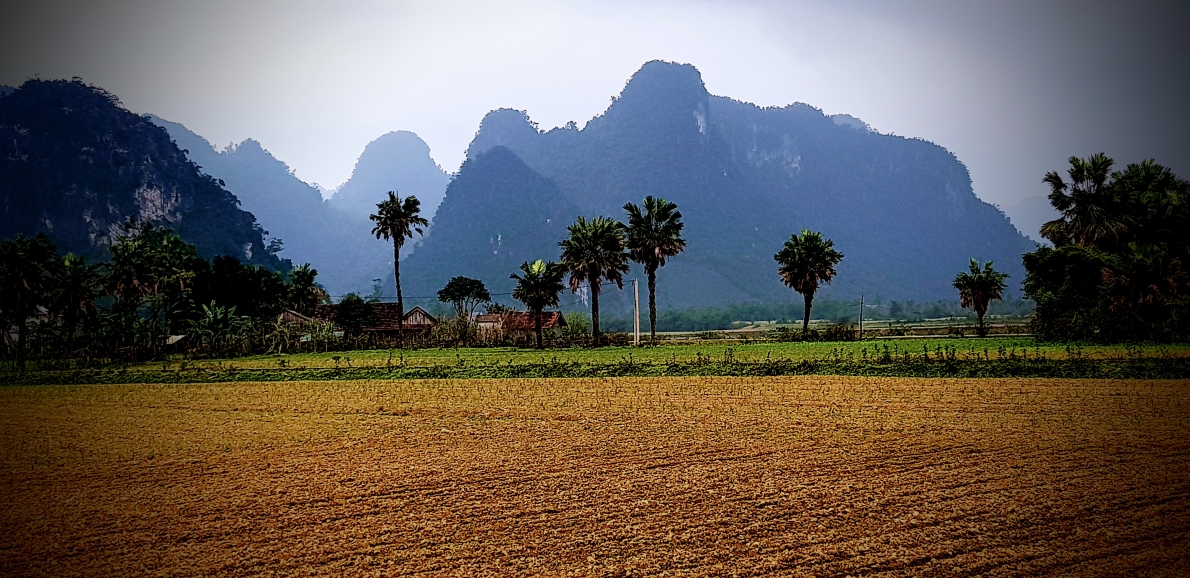 Ngày xuân thưởng ngoạn cảnh đẹp tuyệt sắc trên “đảo đầu lâu”