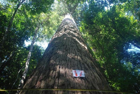 Cần nhà đầu tư xứng tầm để phát triển du lịch