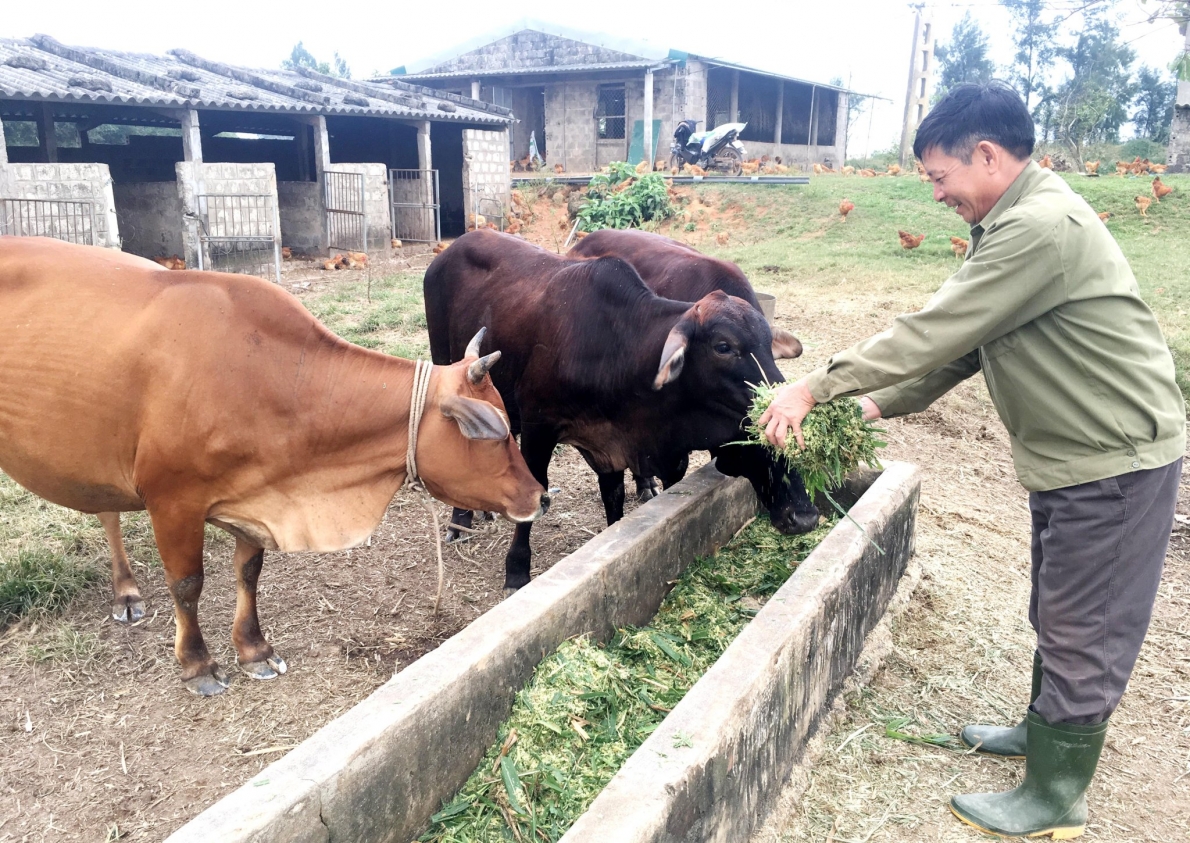 Hội LHPN huyện Bố Trạch, tỉnh Quảng Bình: Quản lý tốt nguồn vốn ủy thác từ Ngân hàng chính sách xã hội.