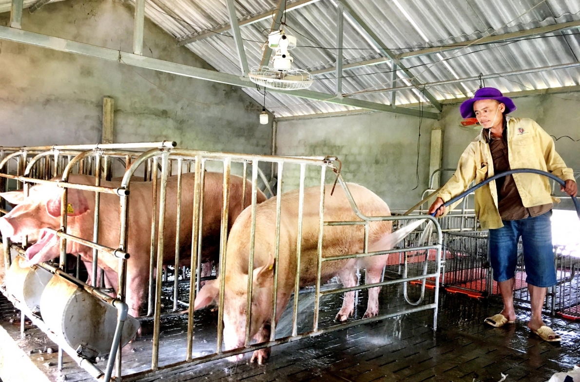 Hội LHPN huyện Bố Trạch, tỉnh Quảng Bình: Quản lý tốt nguồn vốn ủy thác từ Ngân hàng chính sách xã hội.