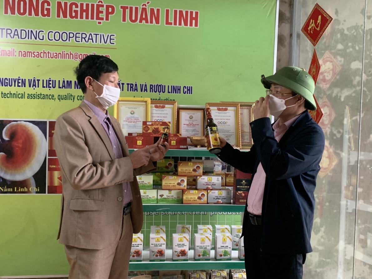 Hội LHPN huyện Bố Trạch, tỉnh Quảng Bình: Quản lý tốt nguồn vốn ủy thác từ Ngân hàng chính sách xã hội.