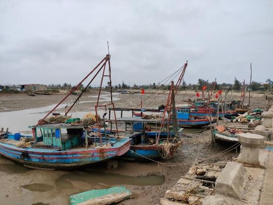 Tỉnh Thanh Hoá: Dự án Cảng cá Hoằng Phụ đầu tư hơn 40 tỷ bị “bỏ hoang”