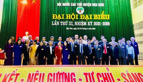 Tỉnh Thanh Hóa: Hội Người cao tuổi huyện Nga Sơn tổ chức Đại hội điểm