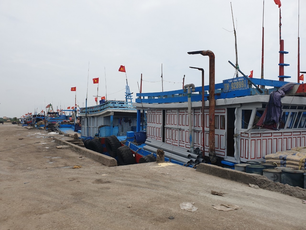 Thanh Hóa:  Tiếng kêu cứu từ Cảng cá Lạch Bạng
