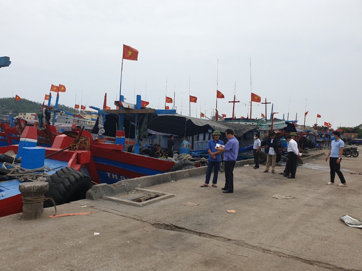 Thanh Hóa:  Tiếng kêu cứu từ Cảng cá Lạch Bạng