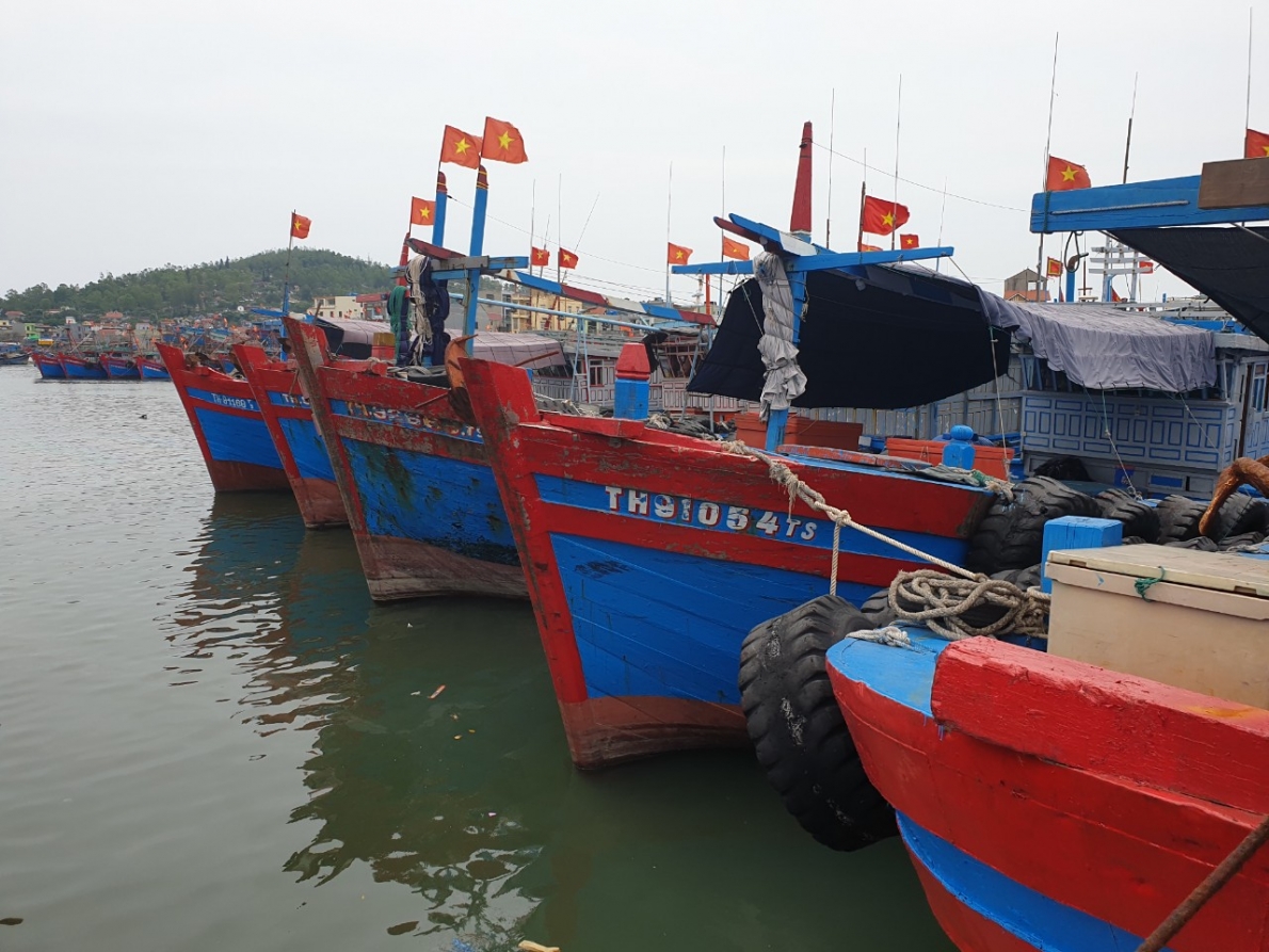 Thanh Hóa:  Tiếng kêu cứu từ Cảng cá Lạch Bạng