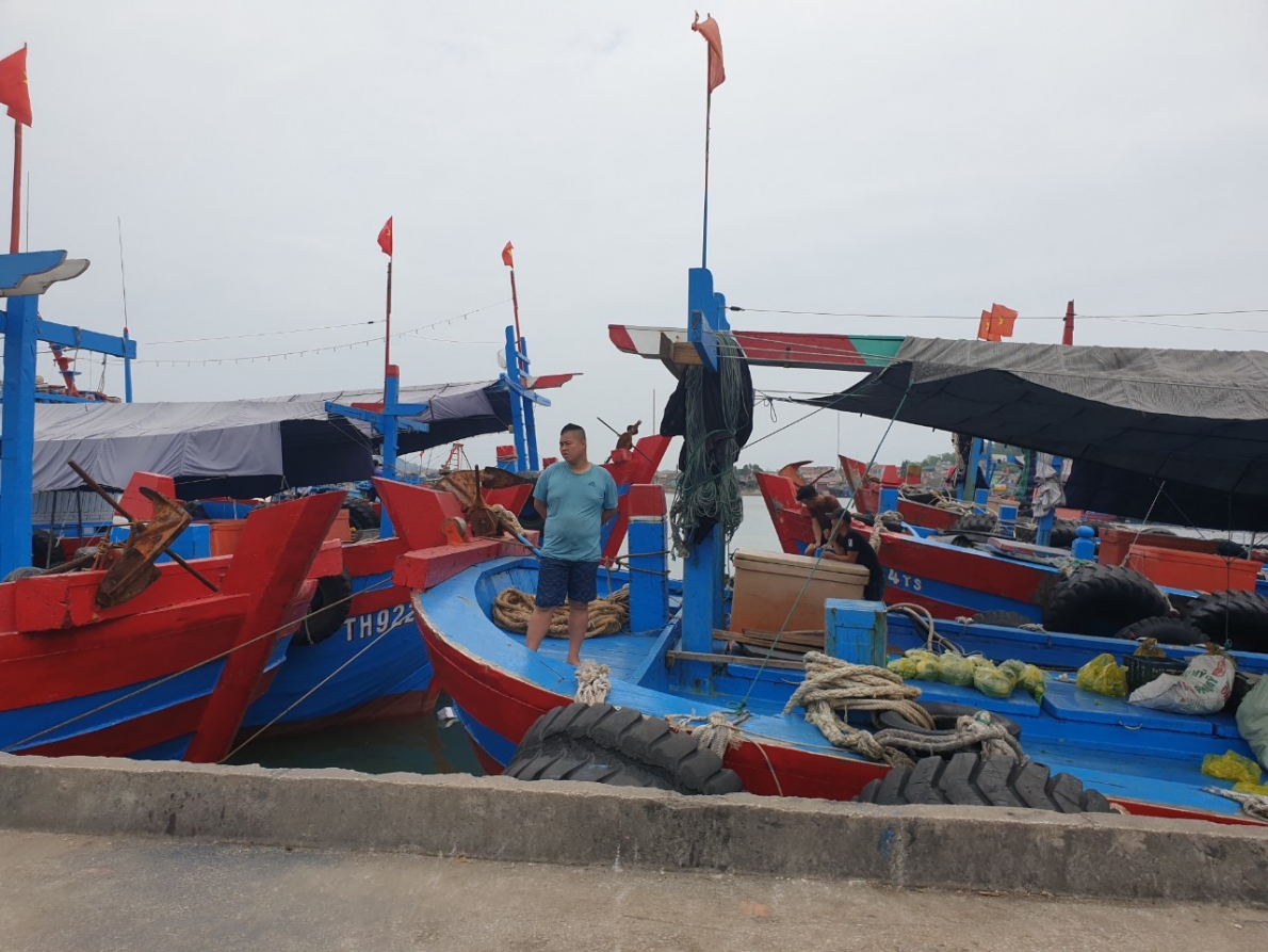 Thanh Hóa:  Tiếng kêu cứu từ Cảng cá Lạch Bạng