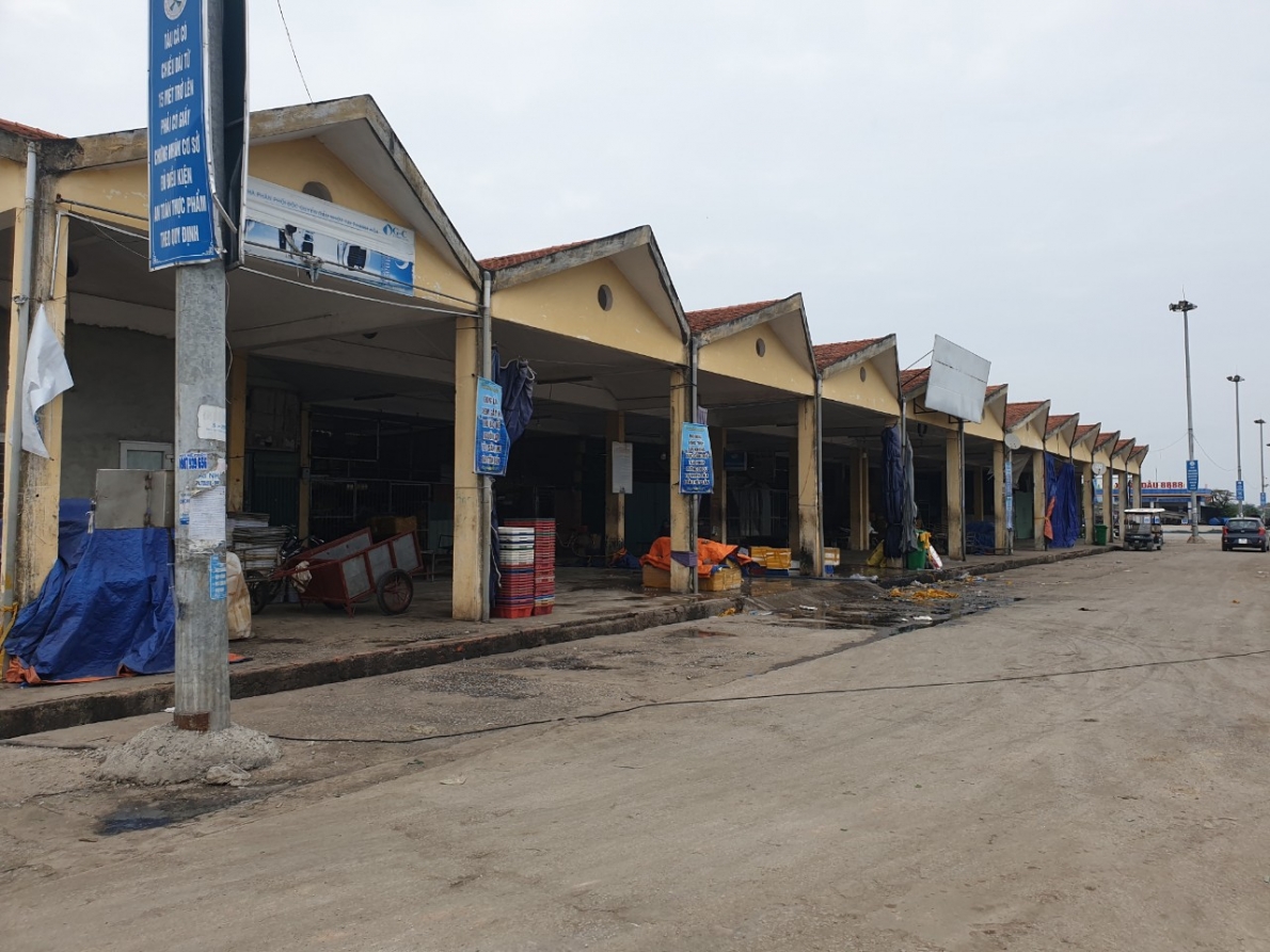 Thanh Hóa:  Tiếng kêu cứu từ Cảng cá Lạch Bạng