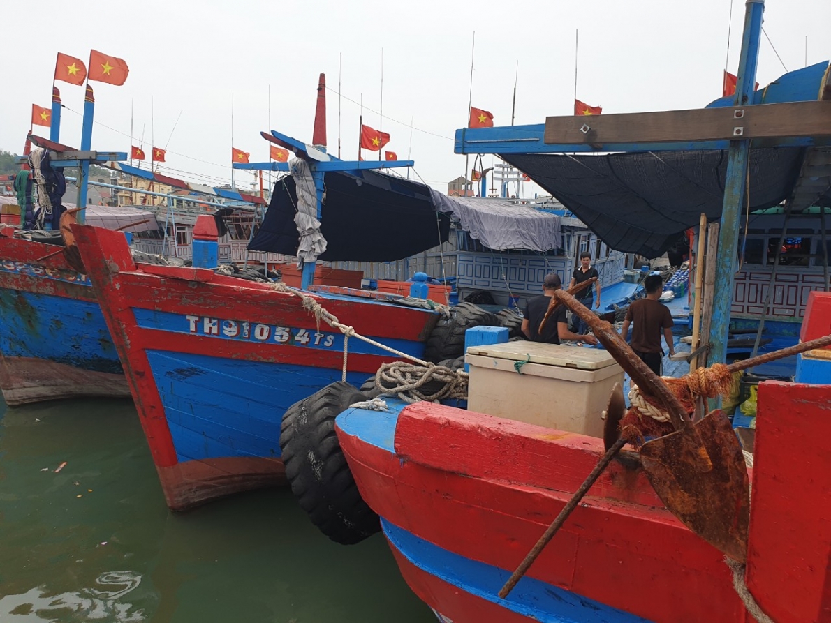 Thanh Hóa: Tín hiệu vui cho bà con ngư dân vùng Cảng cá Lạch Bạng
