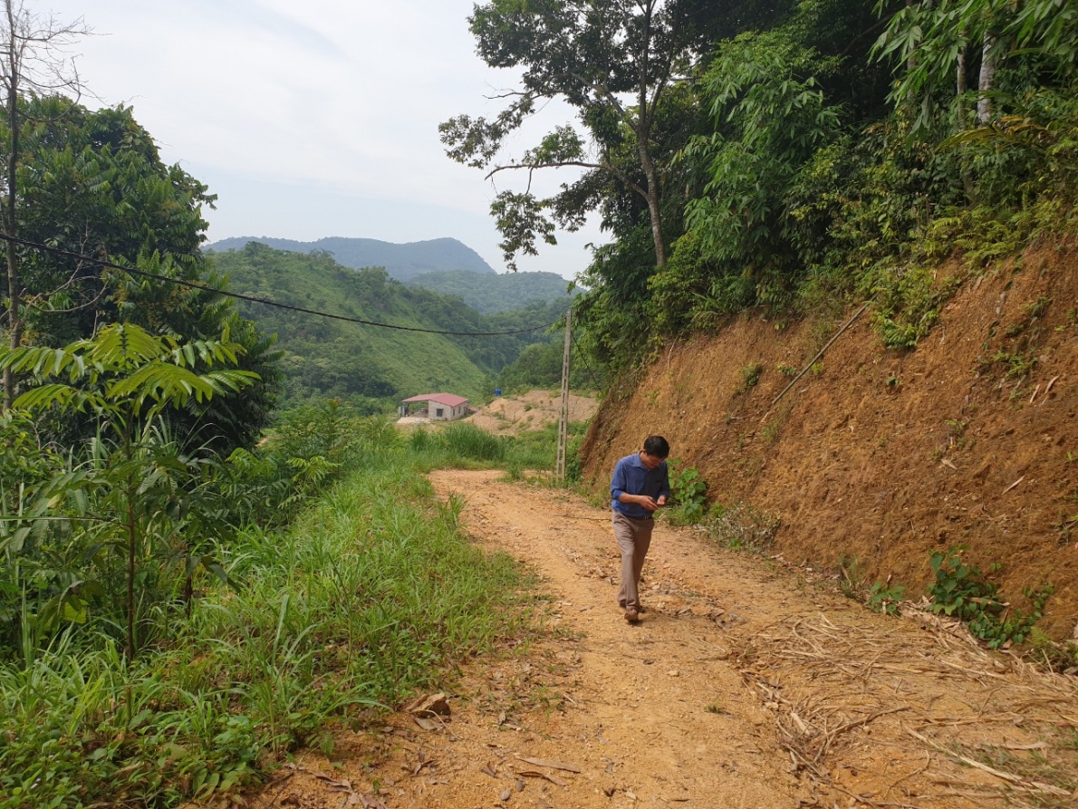 Phá rừng tự nhiên mở đường, làm nhà trái phép