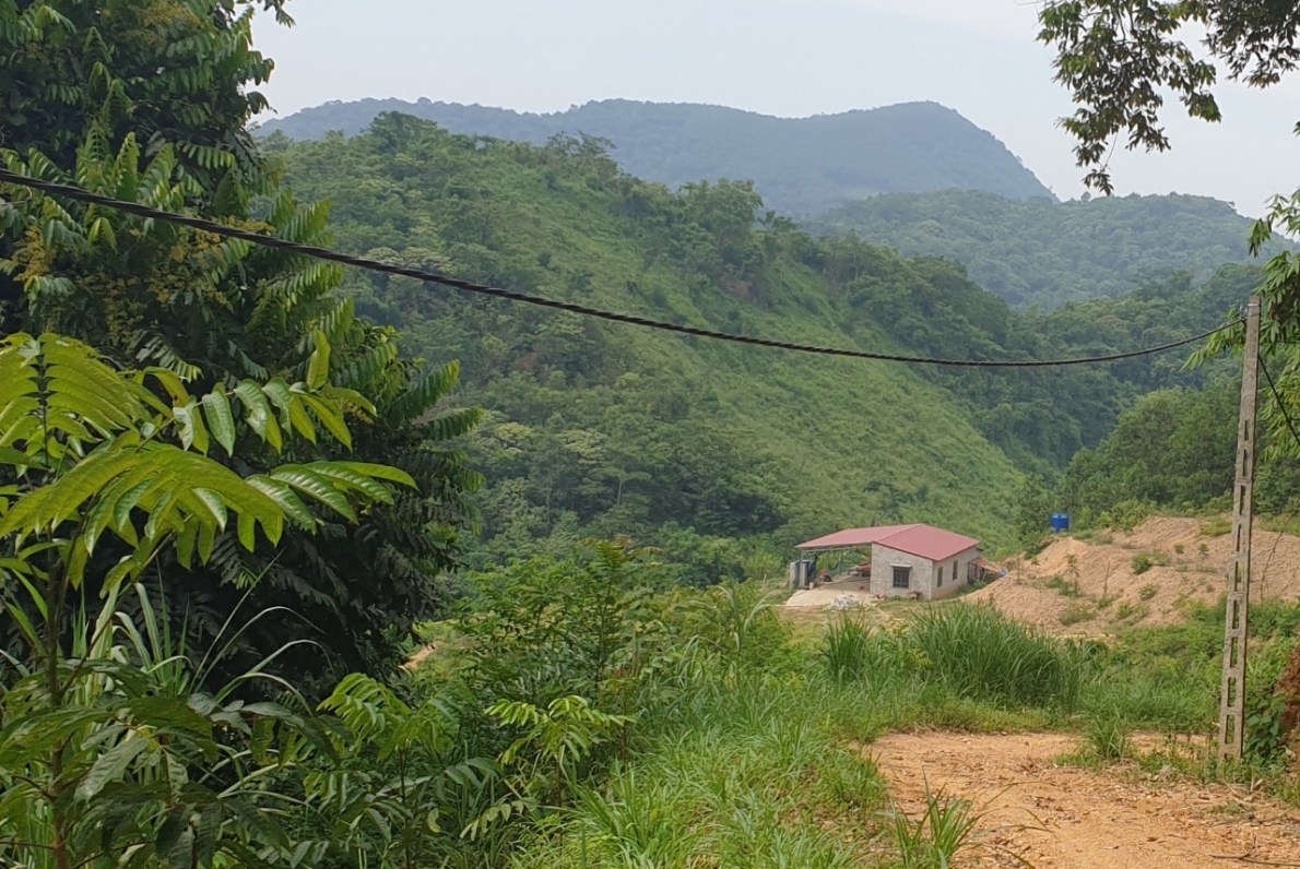 Phá rừng tự nhiên mở đường, làm nhà trái phép