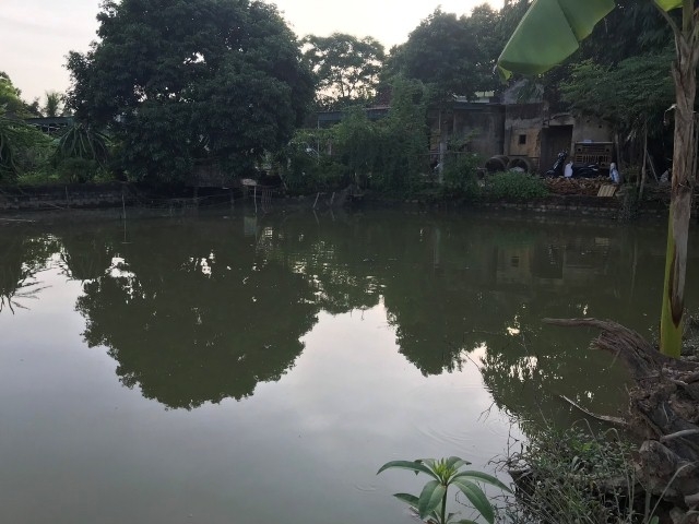 Cần giải quyết thấu tình, đạt lý đất khai hoang của gia đình ông phạm Bá Trường