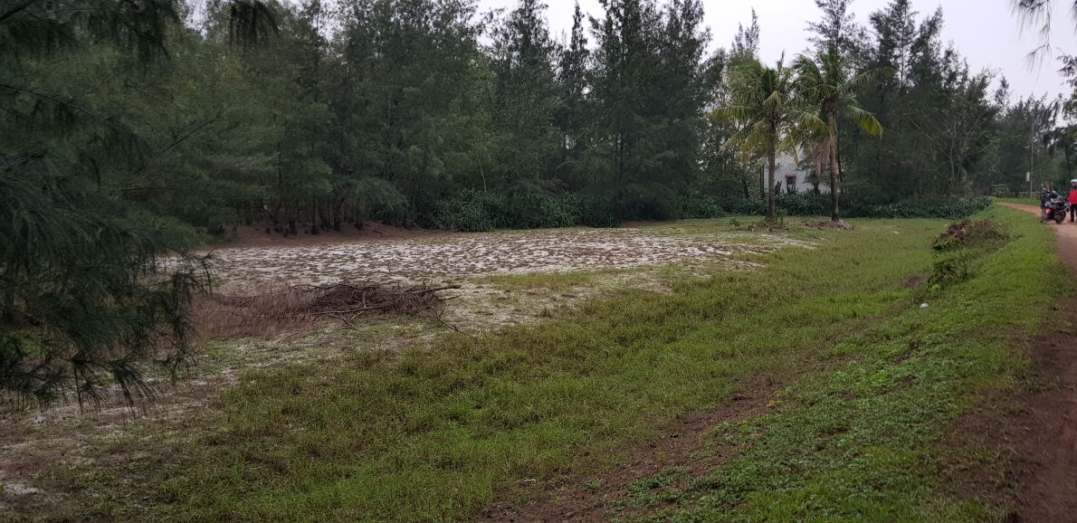 Quảng Bình: Đất rừng phòng hộ bỗng dưng chồng lên đất sản xuất, người dân chịu thiệt