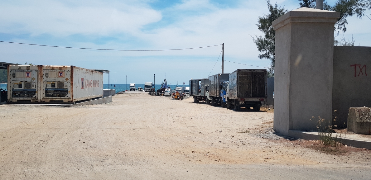 Bài 2: Vén màn về các hoạt động 