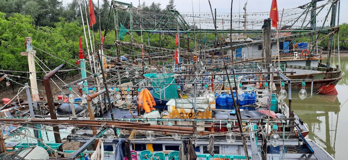 Thanh Hóa: Cần có giải pháp tích cực giúp ngư dân tháo gỡ khó khăn