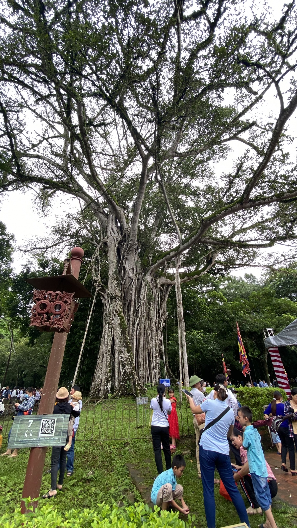 Kính ngưỡng và tự hào miền di sản Lam Kinh