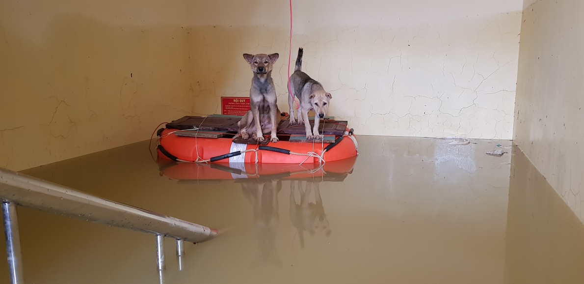 Cận cảnh vùng rốn lũ Tân Hóa