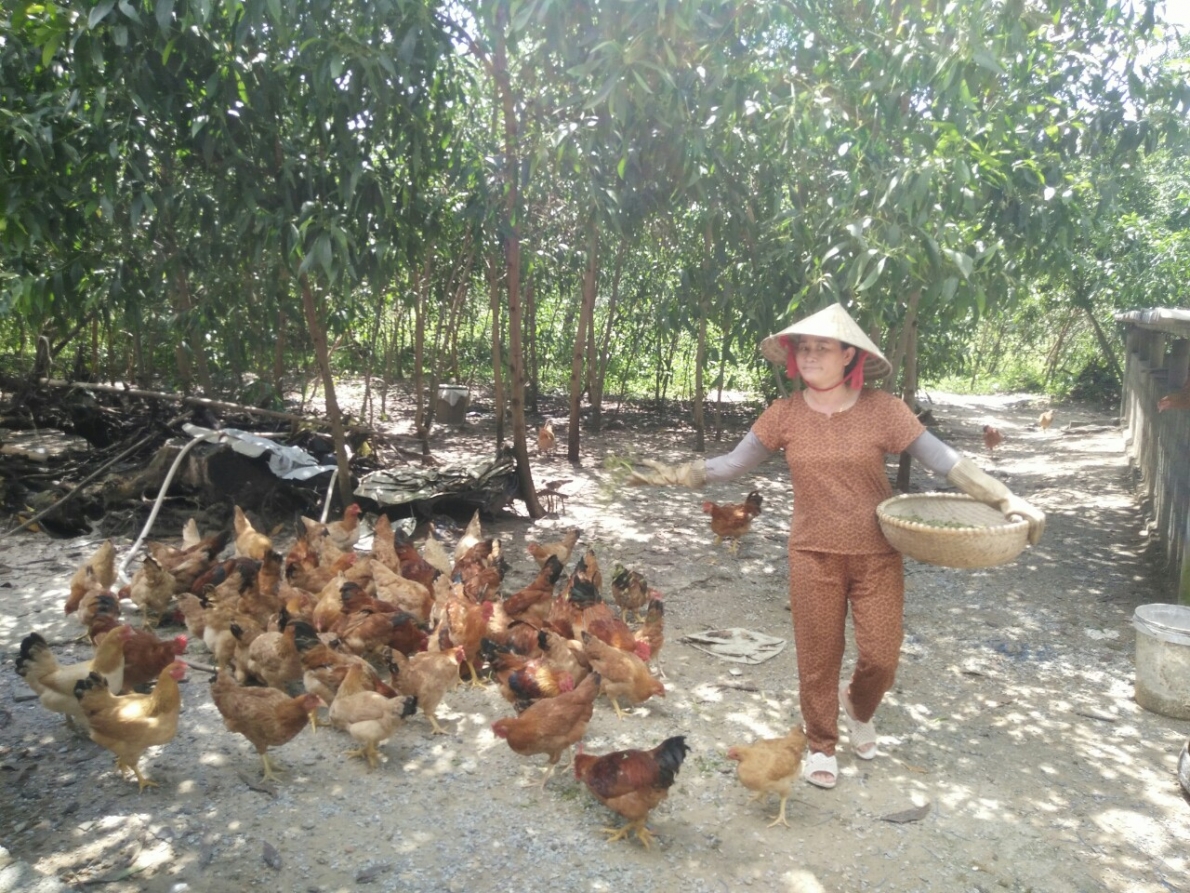 Hiệu quả từ thực hiện Chỉ thị số 40-CT/TW của Ban Bí thư