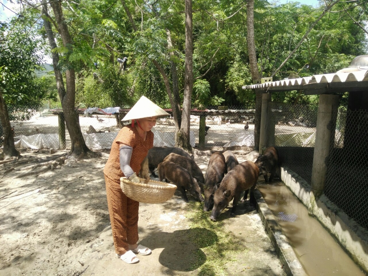 Hiệu quả từ thực hiện Chỉ thị số 40-CT/TW của Ban Bí thư