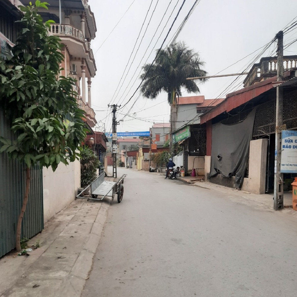 Xuân này con không về….